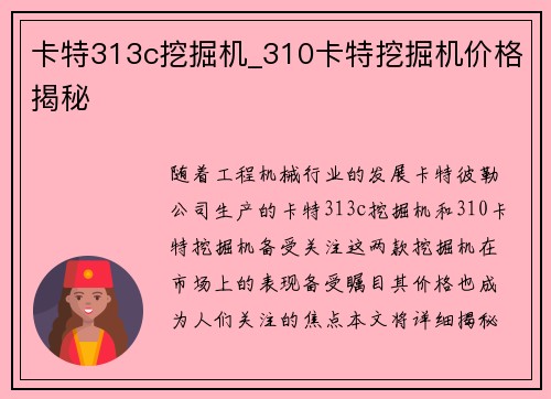 卡特313c挖掘机_310卡特挖掘机价格揭秘